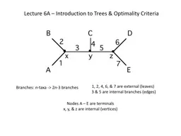 Lecture 6A – Introduction to Trees & Optimality Criteria