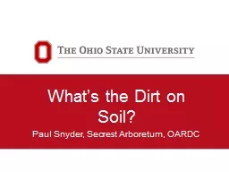 What’s the Dirt on Soil?