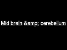 PPT-Mid brain & cerebellum