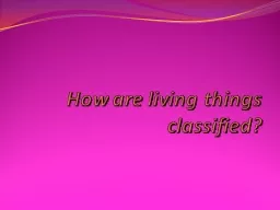 How are living things classified?