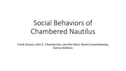 Social Behaviors of Chambered Nautilus