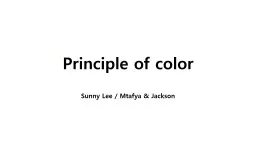 Principle of color Sunny Lee