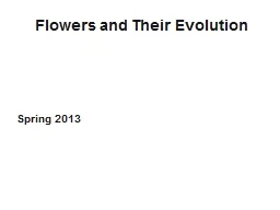 Flowers and Their Evolution