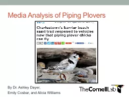 Media Analysis of Piping Plovers