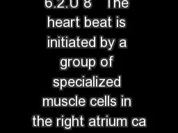 6.2.U 8   The heart beat is initiated by a group of specialized muscle cells in the right