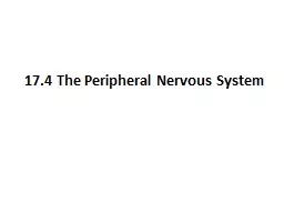 17.4 The Peripheral Nervous System