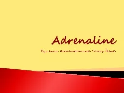 Adrenaline By  Lenka   Karahutov