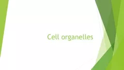 Cell organelles 7- Peroxisomes