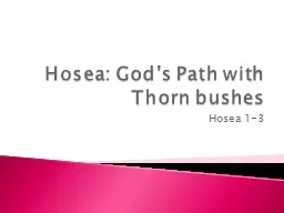 Hosea: God’s Path with