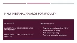NMU Internal awards for faculty