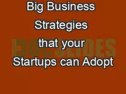 Big Business Strategies that your Startups can Adopt
