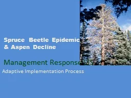 Spruce Beetle Epidemic  & Aspen Decline