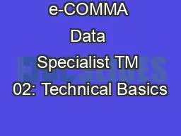 e-COMMA Data Specialist TM 02: Technical Basics