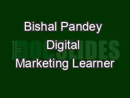 Bishal Pandey Digital Marketing Learner