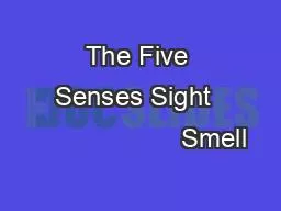 The Five Senses Sight                      Smell