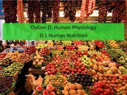 PPT-Option D: Human Physiology