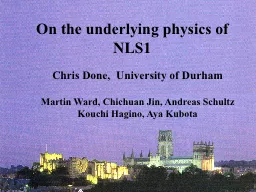 On the underlying physics of NLS1