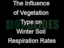The Influence of Vegetation Type on Winter Soil Respiration Rates