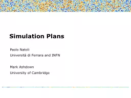 Simulation Plans Paolo  Natoli
