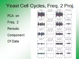 PPT-Yeast Cell Cycles, Freq. 2 Proj.