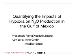 PPT-Quantifying the Impacts of Hypoxia on N