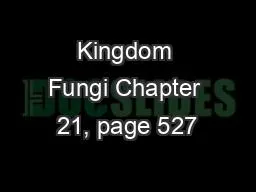 PPT-Kingdom Fungi Chapter 21, page 527