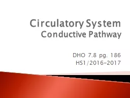 Circulatory  System Conductive Pathway