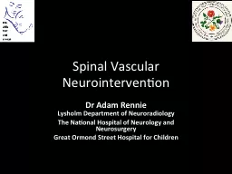 Spinal Vascular  Neurointervention