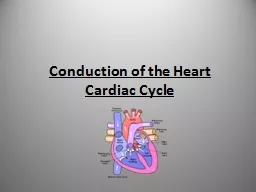 Conduction of the Heart Cardiac Cycle