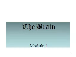 The Brain Module 4 1 The Brain: