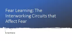 Fear Learning: The Interworking Circuits that Affect Fear