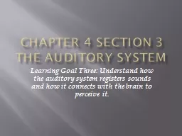 Chapter 4 Section 3 The Auditory System