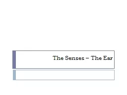 The  Senses – The Ear Ears