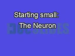 Starting small: The Neuron