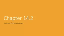 Chapter 14.2 Human Chromosomes