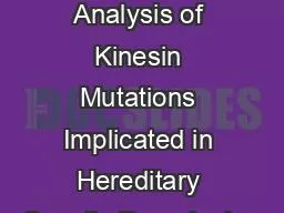 Computational Analysis of Kinesin Mutations Implicated in Hereditary Spastic Paraplegias