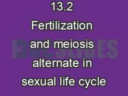 13.2 Fertilization and meiosis alternate in sexual life cycle