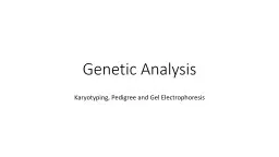 Genetic Analysis Karyotyping, Pedigree and Gel Electrophoresis