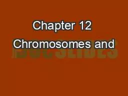 Chapter 12 Chromosomes and
