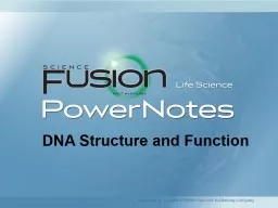 DNA  Structure and Function