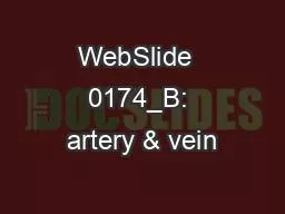 WebSlide  0174_B: artery & vein