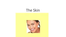 The Skin  Skin is the  largest