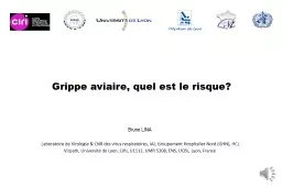 Grippe aviaire, quel est le risque?