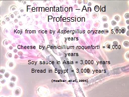 Fermentation – An Old Profession