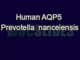 PPT-Human AQP5 Prevotella nanceiensis