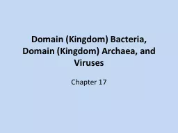 Domain (Kingdom) Bacteria, Domain (Kingdom)