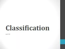 Classification   Unit 3 Classification Activity
