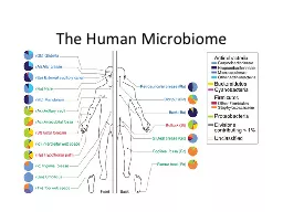 The Human  Microbiome The Biology of Microorganisms