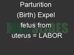 Parturition (Birth) Expel fetus from uterus = LABOR