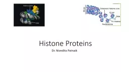  Histone Proteins Dr.  Nivedita Patnaik